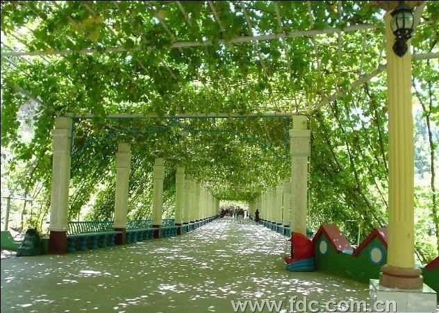 北京出發(fā)的絲綢之路經(jīng)典飛去飛回雙飛六日品質(zhì)