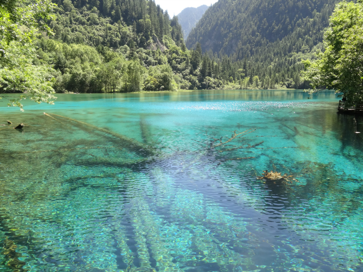 成都、九寨溝、黃龍雙飛5天**4星純玩無(wú)自費(fèi)**