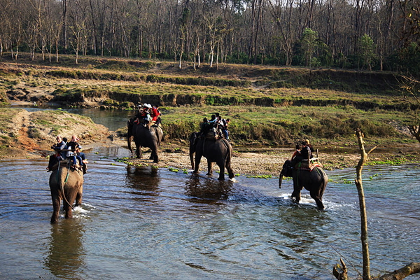 印度、尼泊爾9日