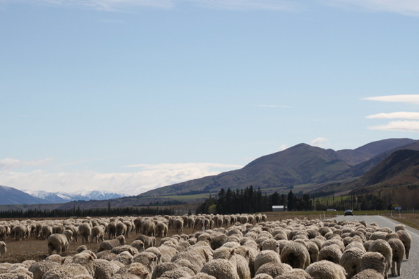 印度、尼泊爾10日
