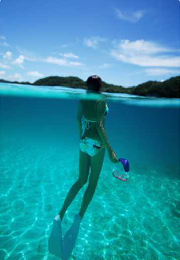 南太平洋--帕勞5晚6天自由行<機(jī)票の酒店>