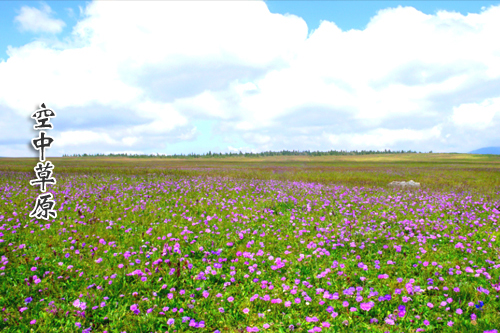 淶源：白石山世界地質(zhì)公園、空中草原、十瀑峽