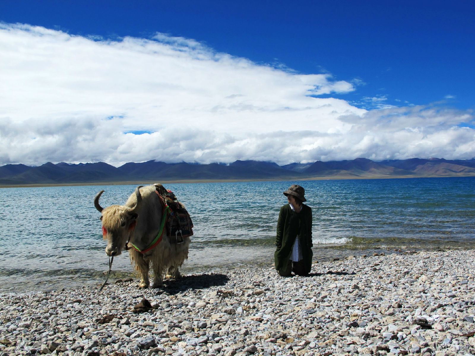 拉薩、林芝、日喀則、納木錯(cuò)、波密然烏湖雙臥