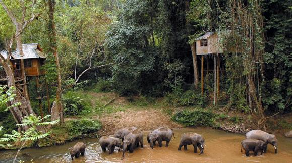 【云南環(huán)飛】昆明九鄉(xiāng)、西雙版納、中緬邊境三