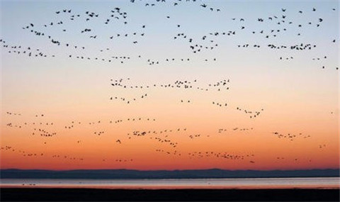 D:內蒙古赤峰、達里湖、蒙古風情園、阿斯哈圖石