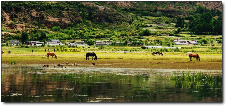 【大版環(huán)飛4星】昆明、大理、麗江、西雙版納