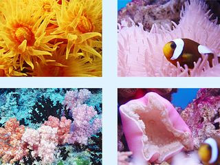 <strong><font color='#0000FF'>大連、旅順、圣亞極地海洋館一臥一飛三日</font></strong>