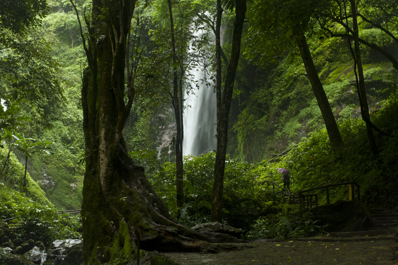 <font color='#0000FF'>芒市、瑞麗、騰沖雙飛5日</font>