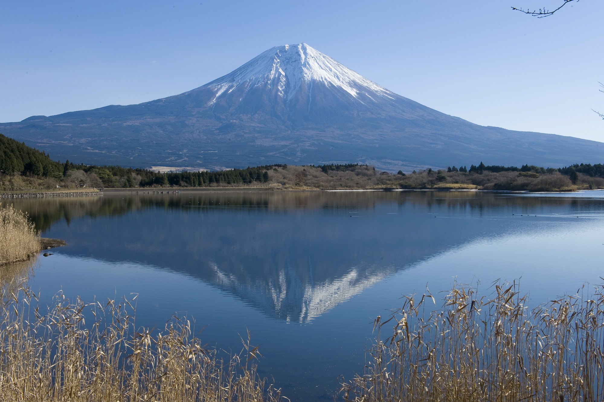 東京、箱根、京都、大阪6日**三大樂(lè)園の3~4星酒