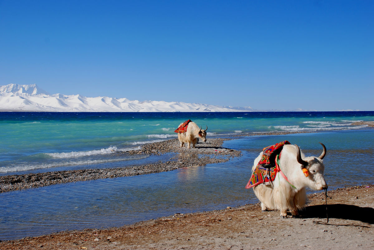 【北京成團(tuán)】拉薩林芝日喀則.納木錯(cuò).珠峰大本營(yíng)