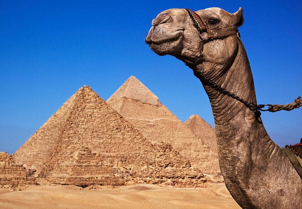 埃及、迪拜、阿布扎比10天