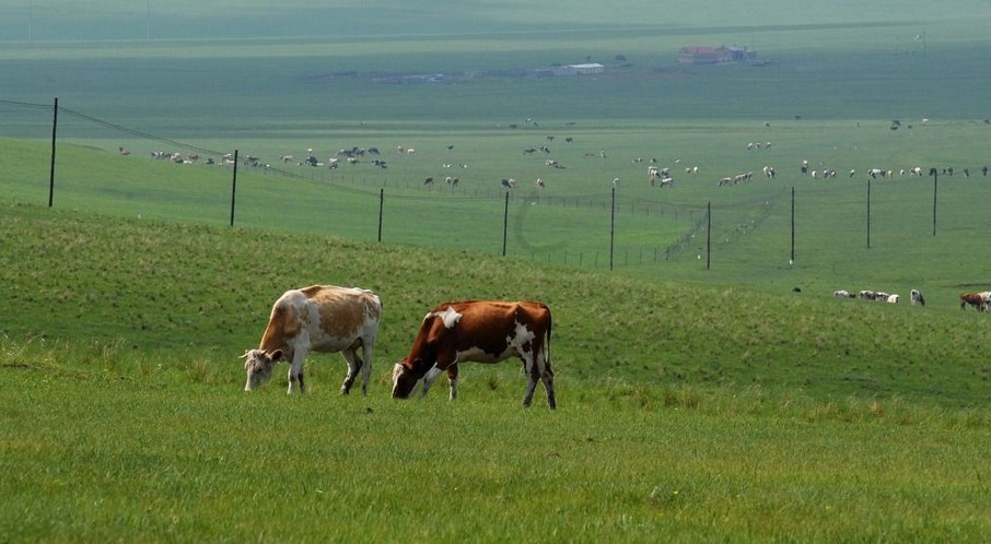 阿爾山國家森林公園、七仙湖草原雙臥5日