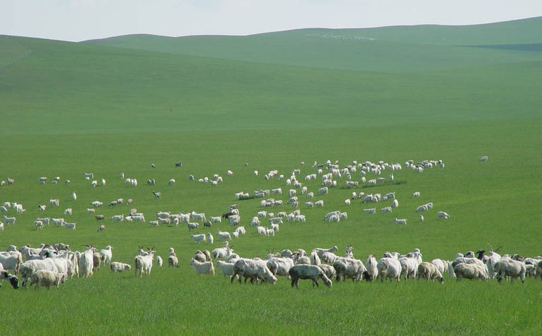 希拉穆仁草原、庫布其沙漠、席力圖召、成吉思