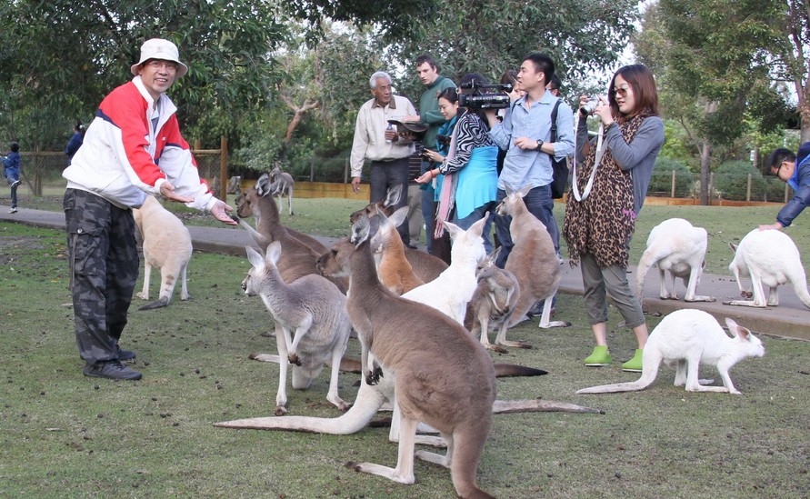 澳新凱12日(酒店升級大堡礁住宿)