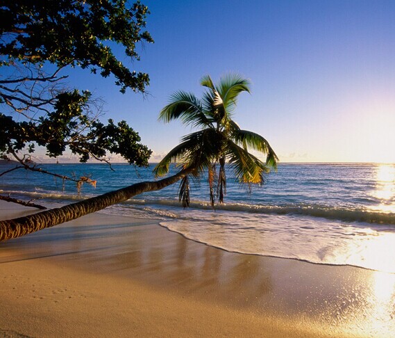 澳新凱12天全景游（新西蘭南北島）**4星酒店