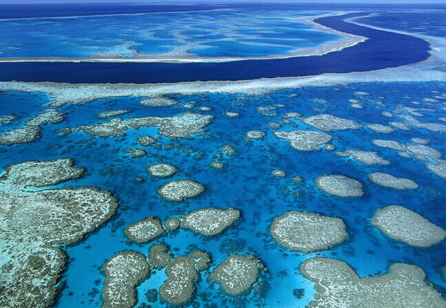 <font color='#CC0000'>春節(jié)搶先團(tuán)：澳新凱墨12日〉純玩〉全程4星〉獨(dú)</font>