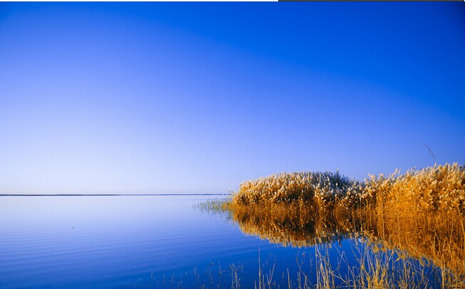 走進額濟納 邂逅胡楊林 張掖七彩丹霞地貌  雙臥