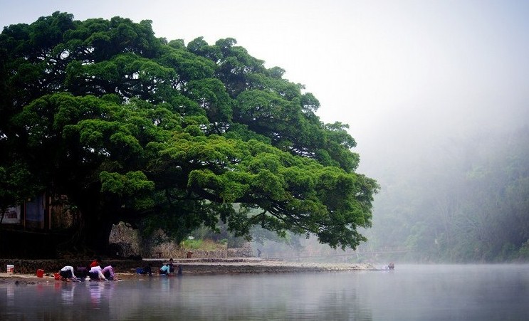廈門鼓浪嶼、南靖云水謠土樓、船游金門、集美