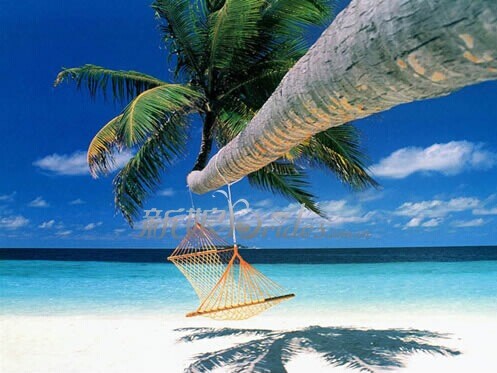 蘇梅“5晚6” 自由行