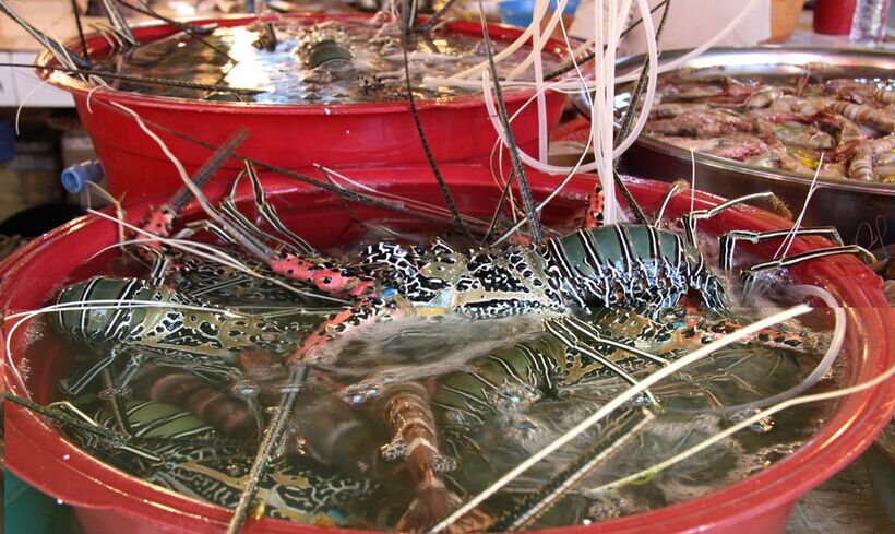 長(zhǎng)灘島半自由行4晚6日<含領(lǐng)隊(duì)>風(fēng)帆出?？慈?/></a>
                  </div>
                  <p class=