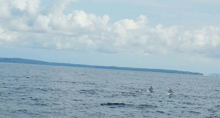 美娜多4晚5天**4晚海邊5星酒店【一價全含】