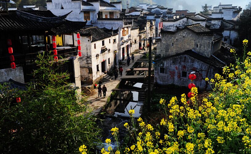 婺源、江嶺梯田、景德鎮(zhèn)雙臥4日**掛牌3星酒店