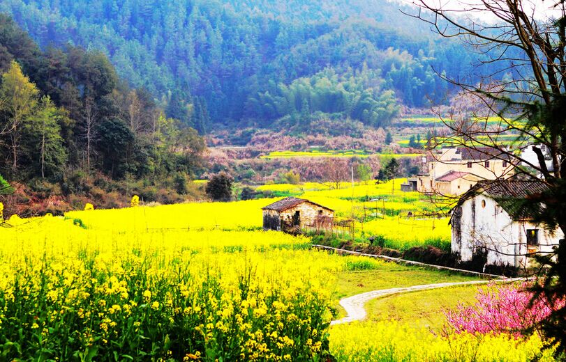 廬山主景區(qū)、婺源、江嶺梯田、三清山、景德鎮(zhèn)