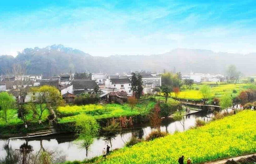 廬山2日游、婺源、江嶺梯田、三清山、景德鎮(zhèn)雙