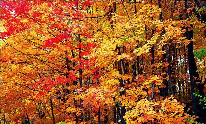 純玩-攝影團:夜色翡翠人家 千島湖農家酒店H8-2：