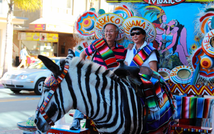 美國東西海岸、大瀑布、墨西哥蒂華納、加拿大