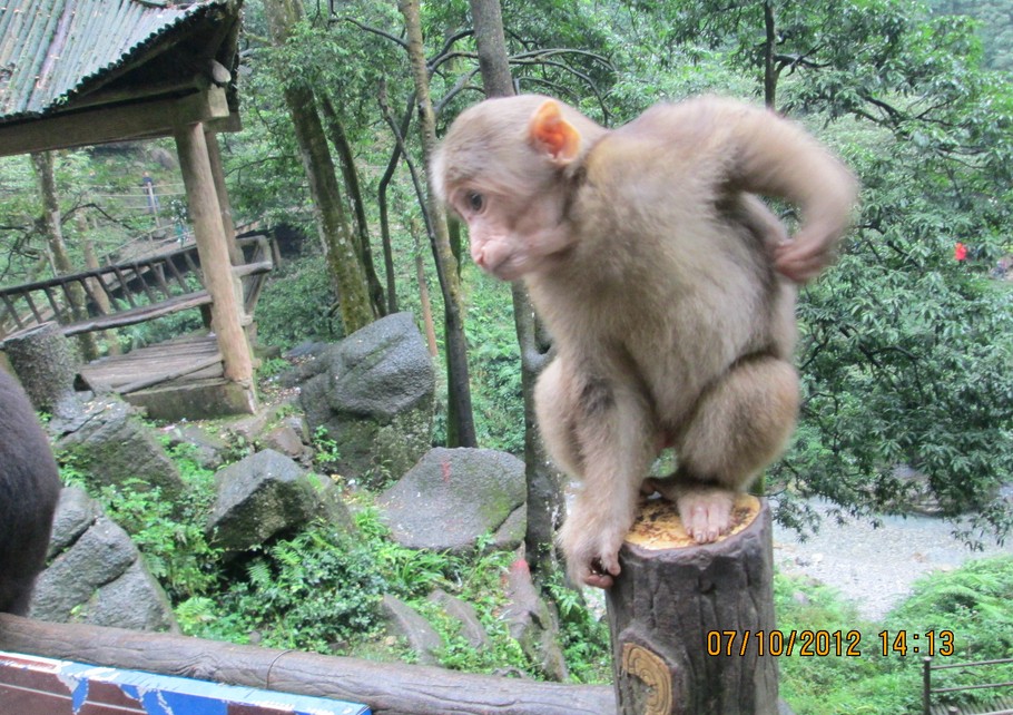 成都、**后的香格里拉——稻城亞丁 4飛5日游