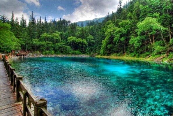 成都、九寨溝、黃龍雙飛5日**純玩**