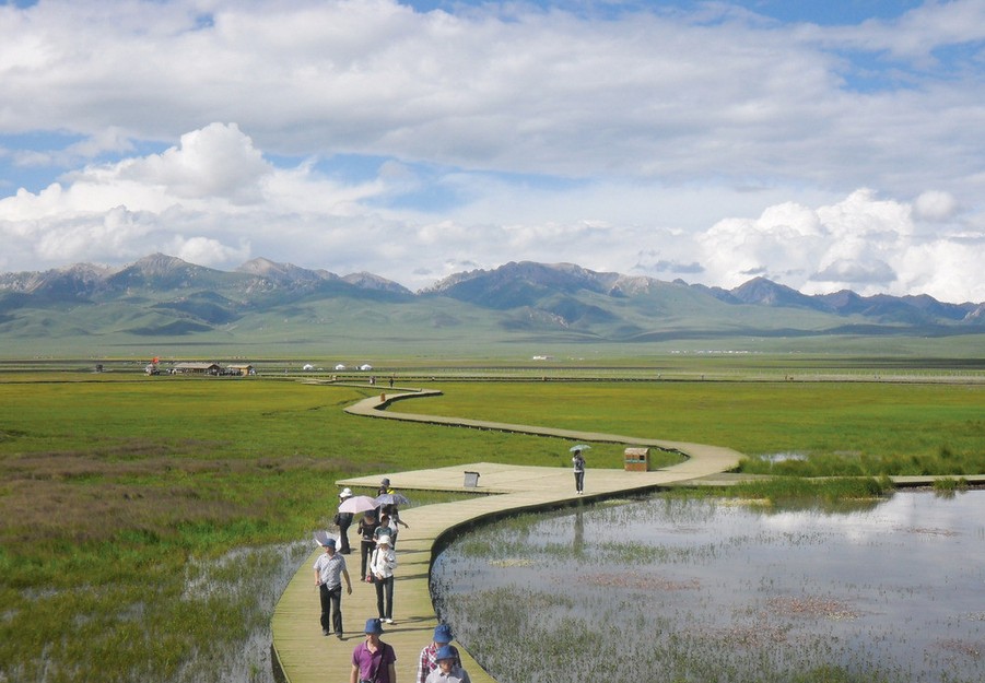 成都、花湖、若爾蓋、九曲第一灣雙飛5日