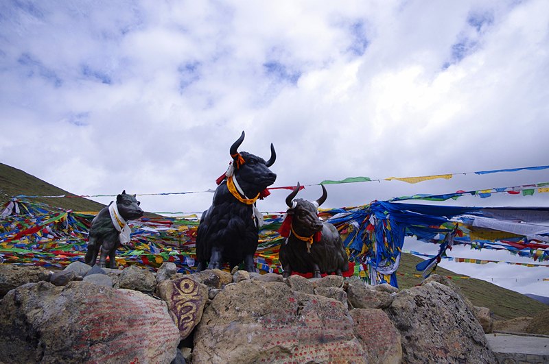 <西藏全景雙臥12日游>0自費，轉(zhuǎn)雙湖，林芝2晚，