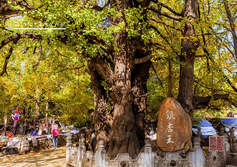 保山、騰沖、怒江雙飛5日