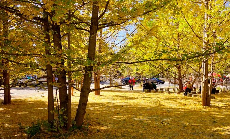 昆明、騰沖、芒市、瑞麗四飛6日